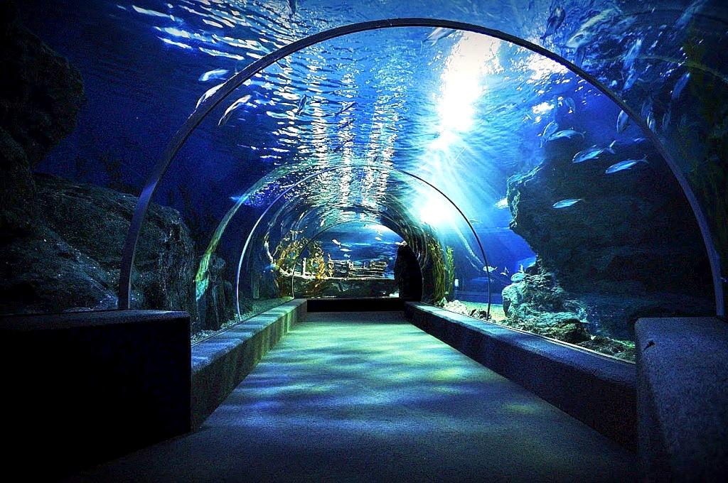 аквариум Siam Ocean World